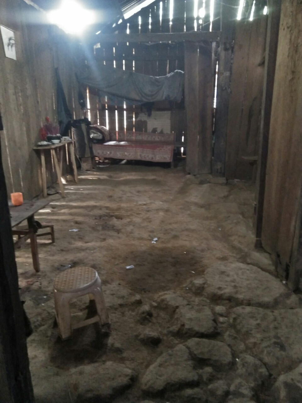 Cậu học trò ở lán, đào củ bán lấy tiền mua thẻ điện thoại để học trực tuyến ảnh 1