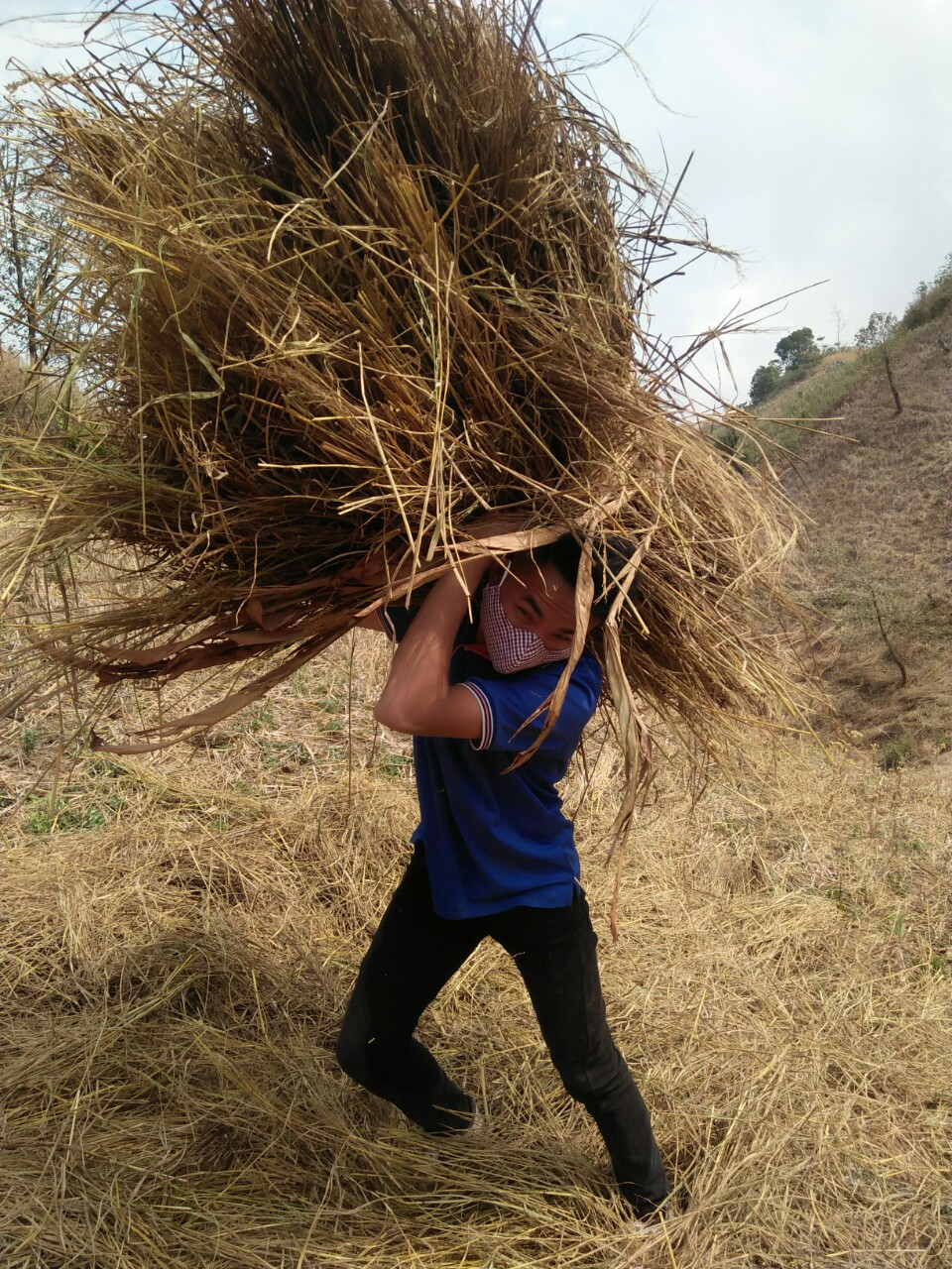 Cậu học trò ở lán, đào củ bán lấy tiền mua thẻ điện thoại để học trực tuyến ảnh 2