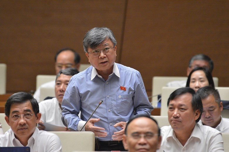 Bộ trưởng Trần Hồng Hà nói về dự án lấn biển Cần Giờ ảnh 1