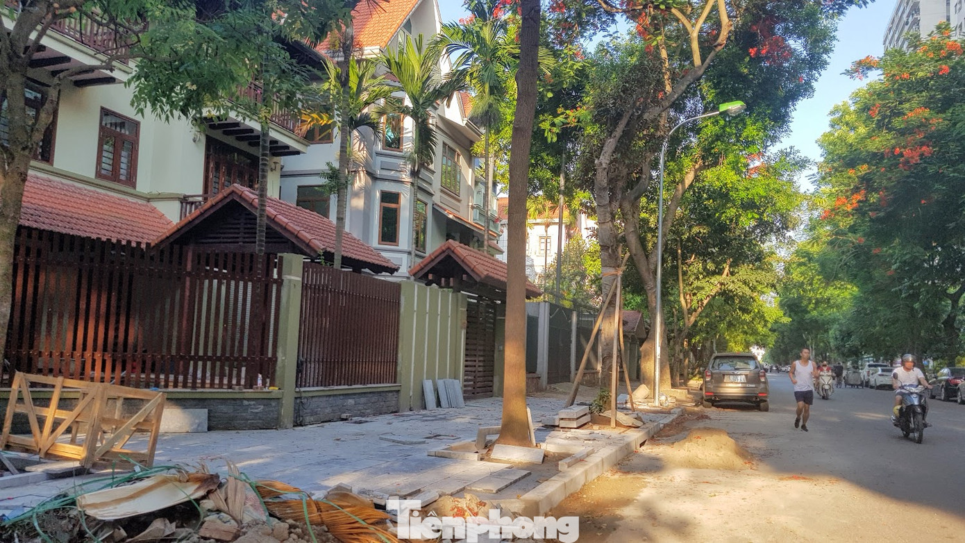 Biệt thự đô thị kiểu mẫu Hà Nội tự chặt cây, lát vỉa hè sai quy hoạch ảnh 1