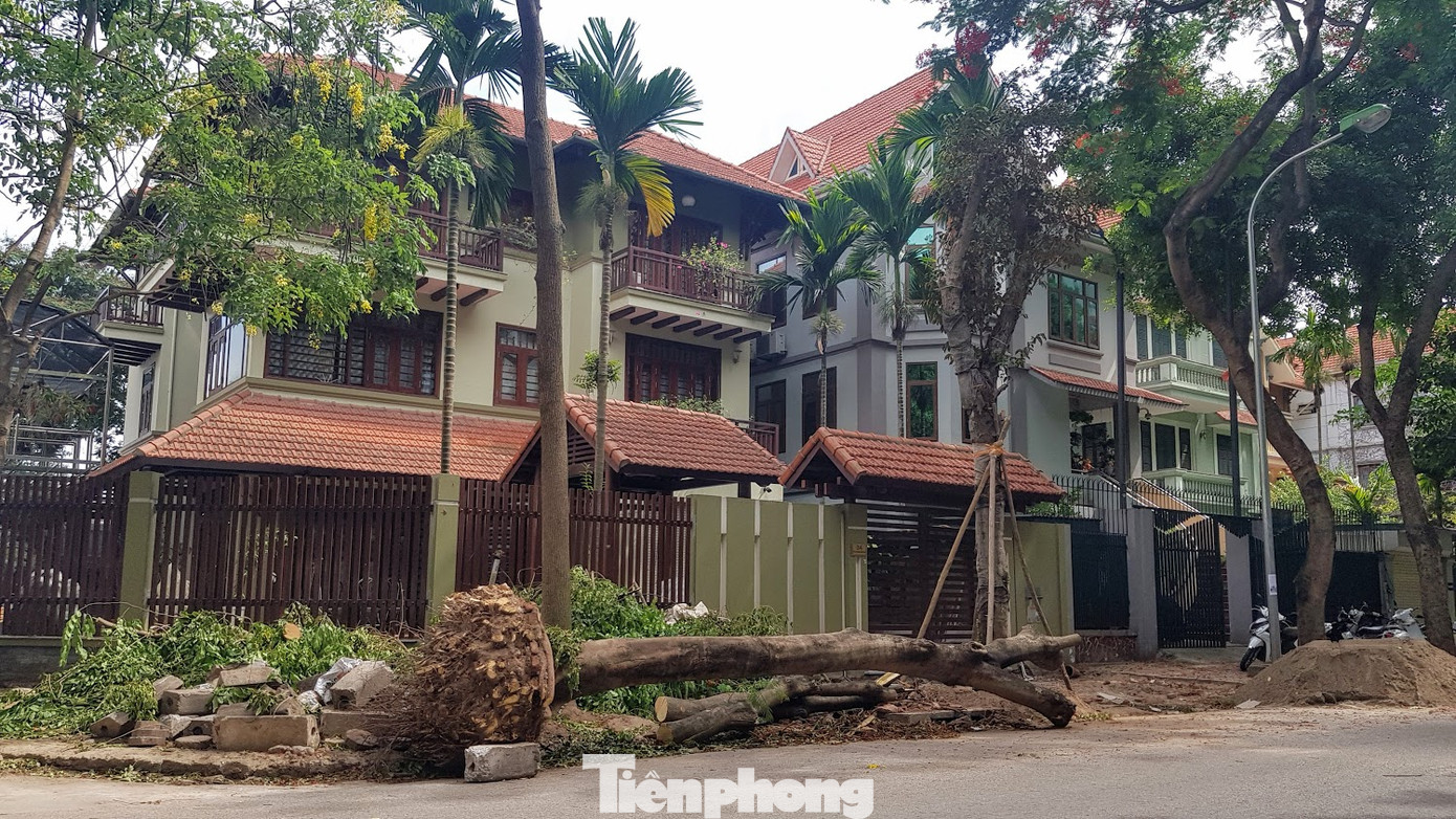 Biệt thự đô thị kiểu mẫu Hà Nội tự chặt cây, lát vỉa hè sai quy hoạch ảnh 3