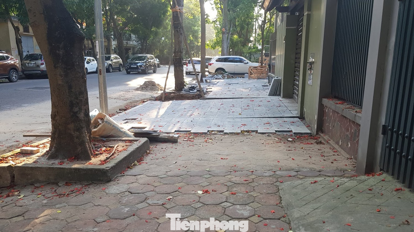 Biệt thự đô thị kiểu mẫu Hà Nội tự chặt cây, lát vỉa hè sai quy hoạch ảnh 2