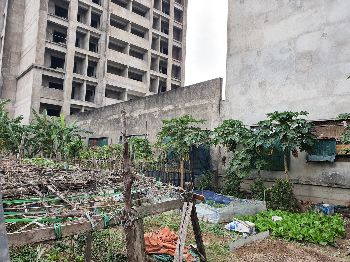 Cám cảnh ký túc xá nghìn tỷ trở thành khu ổ chuột khổng lồ ảnh 6