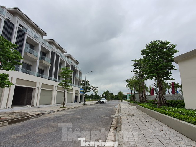 Dabaco và Cenland liên kết thế nào tại dự án Vườn Sen? ảnh 1