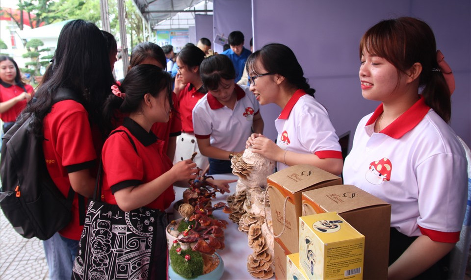 Trà hoa nấm của sinh viên ĐH Sư phạm Đà Nẵng ảnh 2