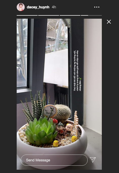 Á hậu Thuỳ Dung tự cách ly ở nhà 14 ngày sau khi đi qua sân bay Đà Nẵng ảnh 3