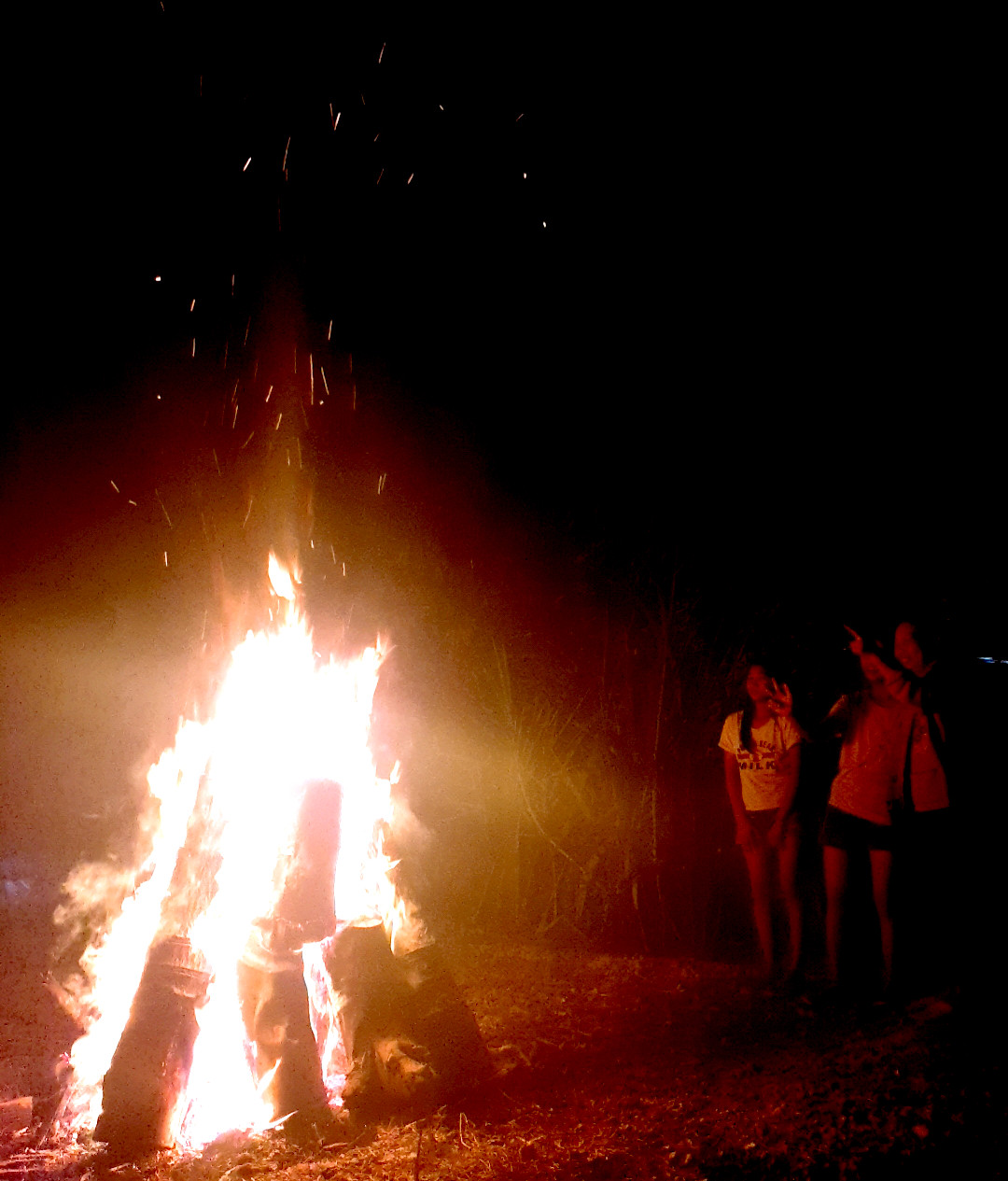 Vùng biên rực sáng pháo hoa 'củi' đêm giao thừa ảnh 6