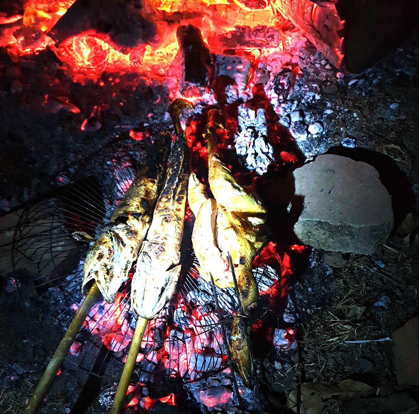 Vùng biên rực sáng pháo hoa 'củi' đêm giao thừa ảnh 7