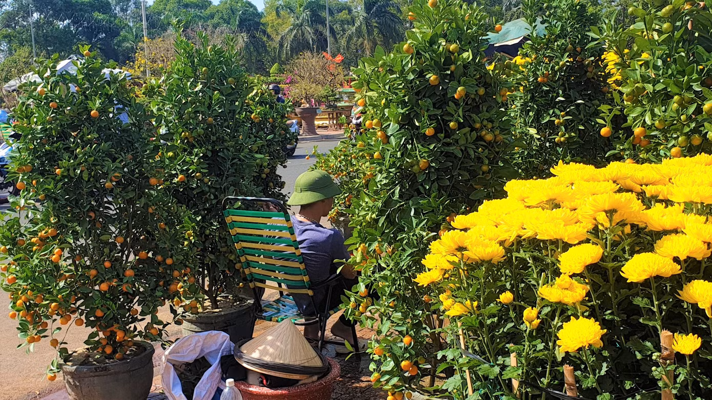Buôn Ma Thuột: Chợ hoa hắt hiu, tiểu thương lo mất Tết ảnh 5