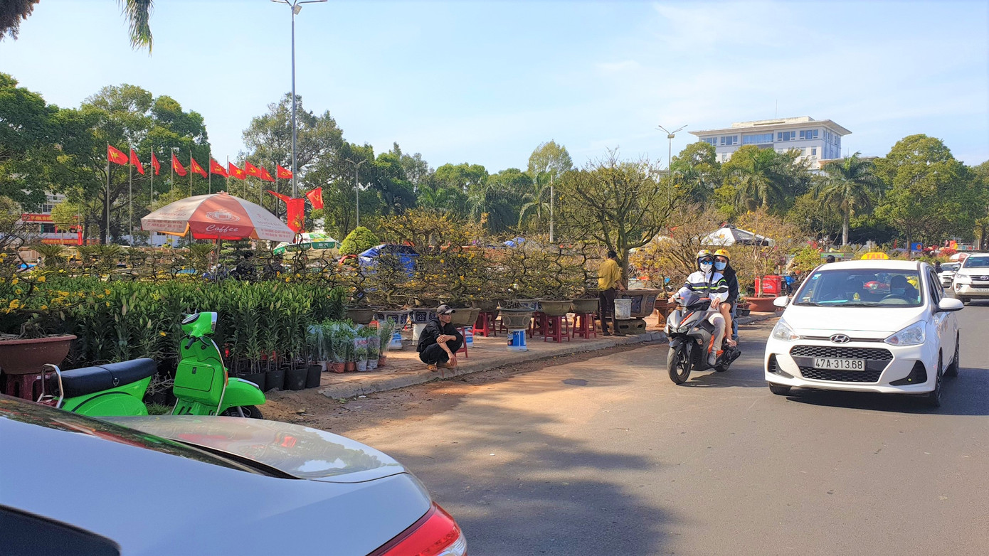 Buôn Ma Thuột: Chợ hoa hắt hiu, tiểu thương lo mất Tết ảnh 6