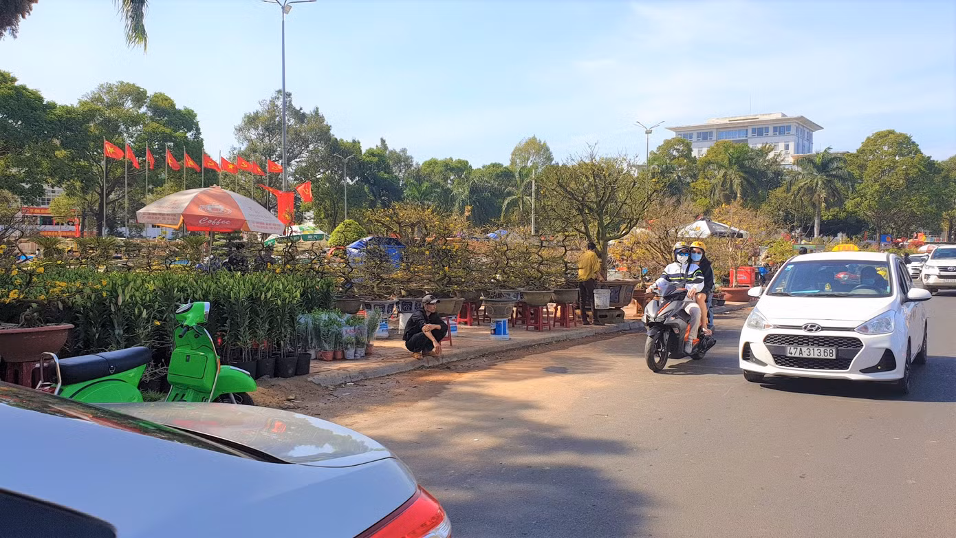 Buôn Ma Thuột: Chợ hoa hắt hiu, tiểu thương lo mất Tết ảnh 6