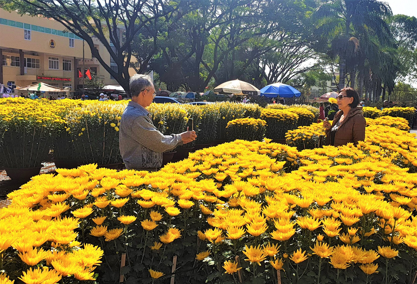 Buôn Ma Thuột: Chợ hoa hắt hiu, tiểu thương lo mất Tết ảnh 8
