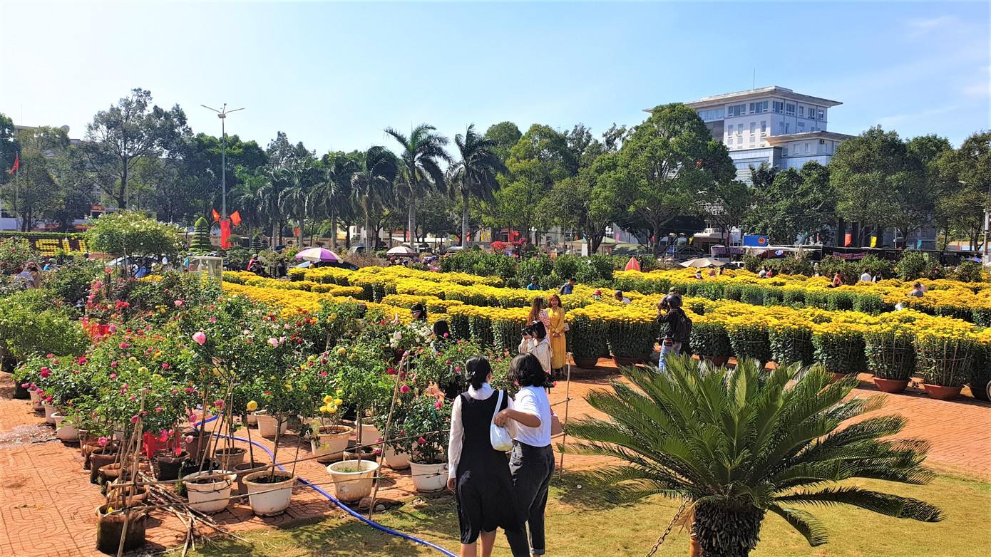 Buôn Ma Thuột: Chợ hoa hắt hiu, tiểu thương lo mất Tết ảnh 3
