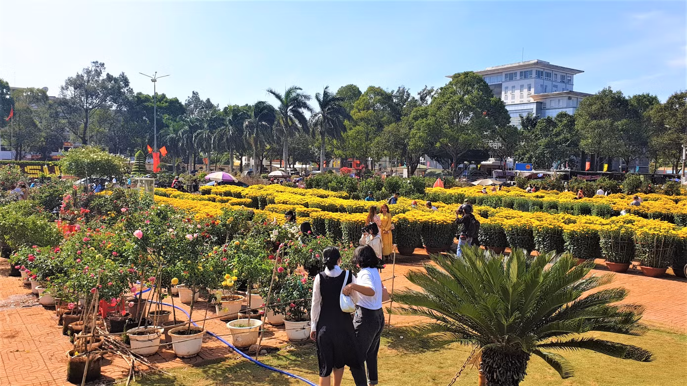 Buôn Ma Thuột: Chợ hoa hắt hiu, tiểu thương lo mất Tết ảnh 3