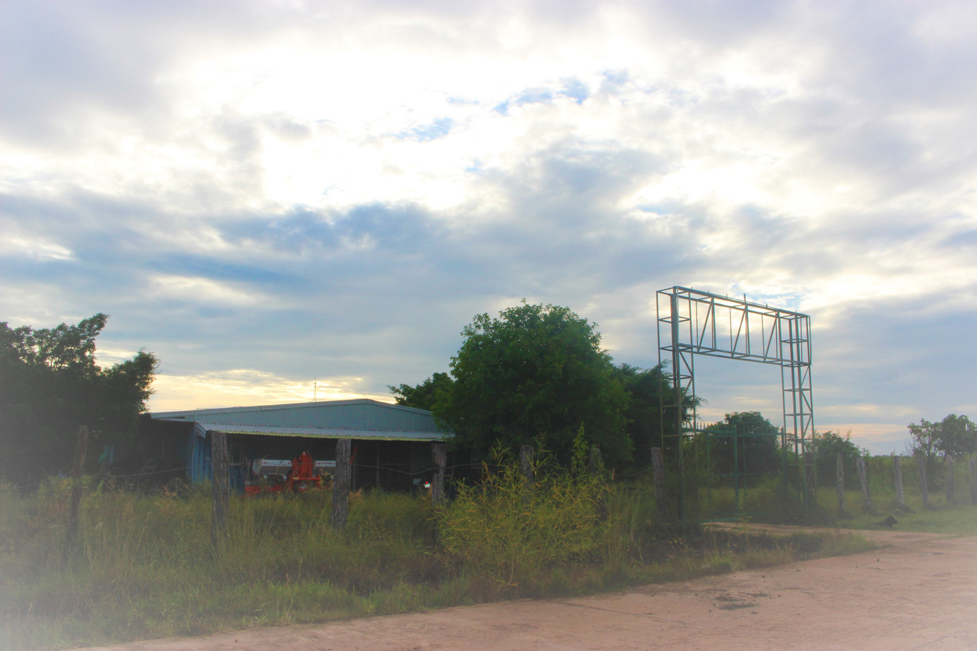 Rừng giao cho doanh nghiệp bị phá: 'Đền' bằng cách trồng cây ảnh 1