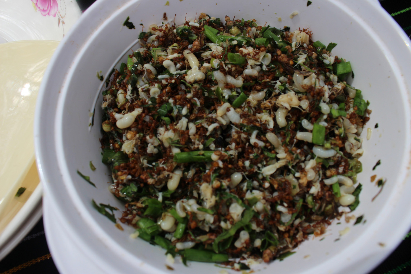 Độc lạ món kiến vàng dành cho khách quý ảnh 4