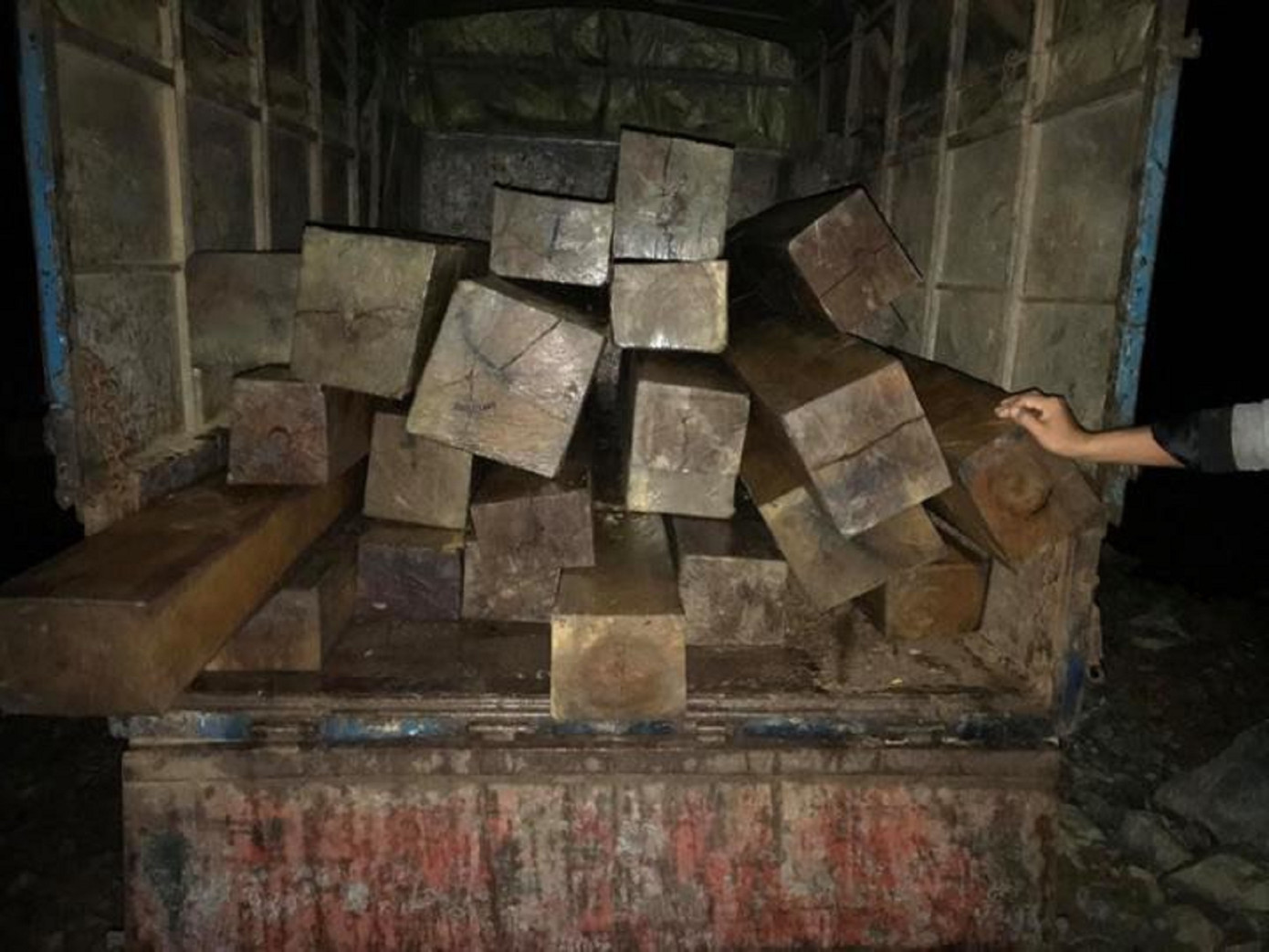 Đắk Lắk liên tiếp phát hiện nhiều bãi tập kết gỗ 'vô chủ' ảnh 1