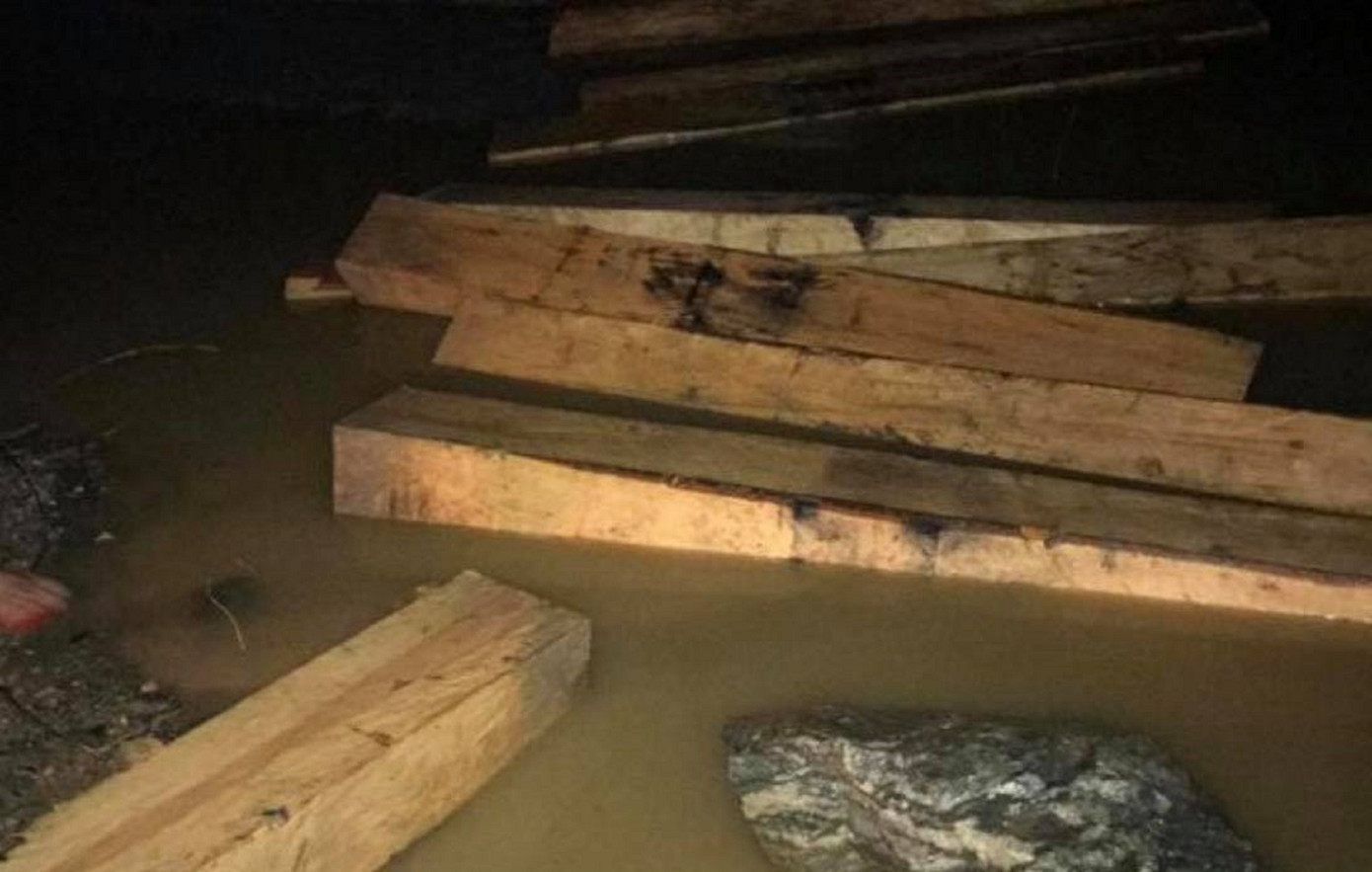 Đắk Lắk liên tiếp phát hiện nhiều bãi tập kết gỗ 'vô chủ' ảnh 2