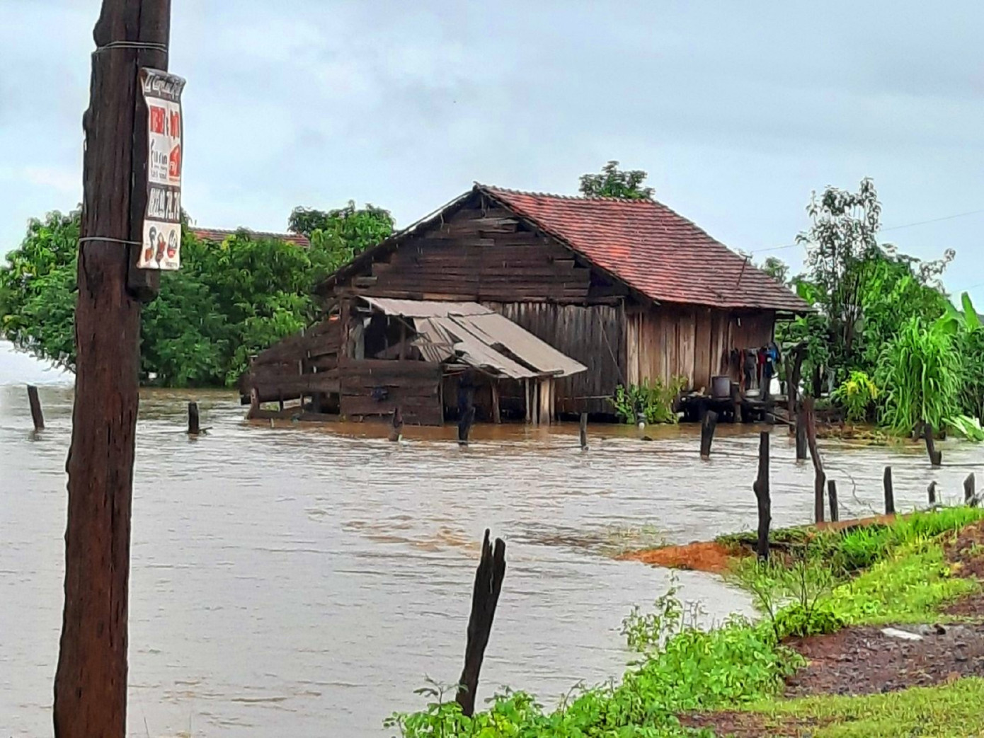 Vùng biên Đắk Lắk ngập sâu trong nước sau cơn mưa kéo dài ảnh 6