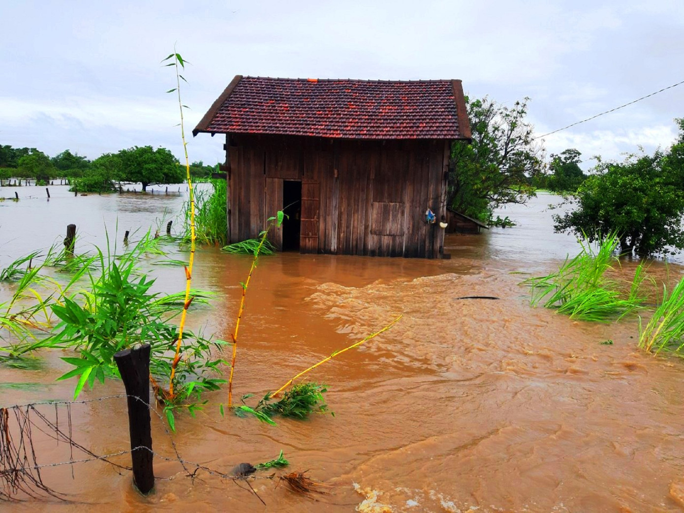 Vùng biên Đắk Lắk ngập sâu trong nước sau cơn mưa kéo dài ảnh 3