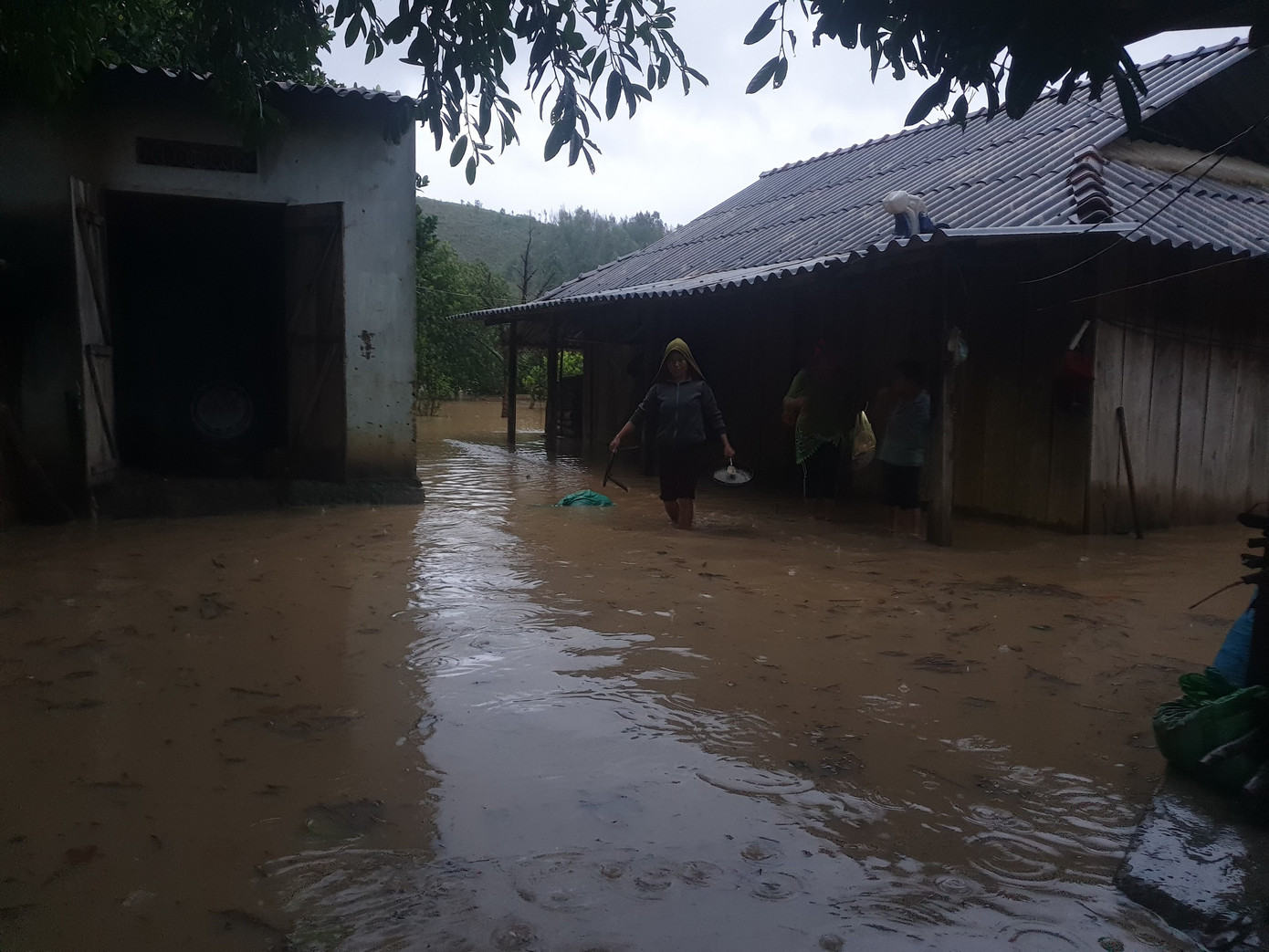 Đắk Lắk lại mưa to kéo dài, nguy cơ lũ quét, sạt lở ảnh 2