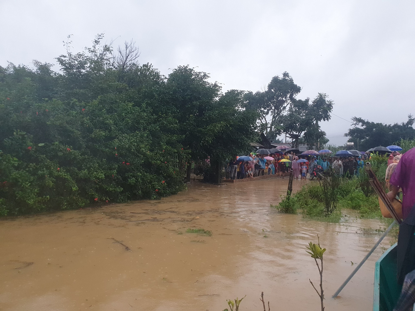Đắk Lắk lại mưa to kéo dài, nguy cơ lũ quét, sạt lở ảnh 1