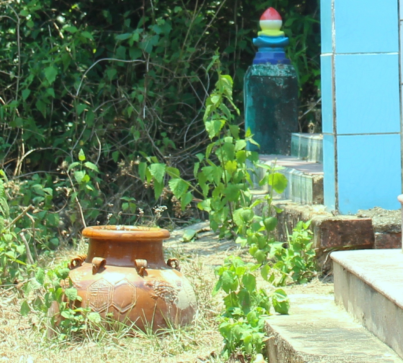 Kỳ lạ những chiếc ché trong 'rừng ma' ảnh 4