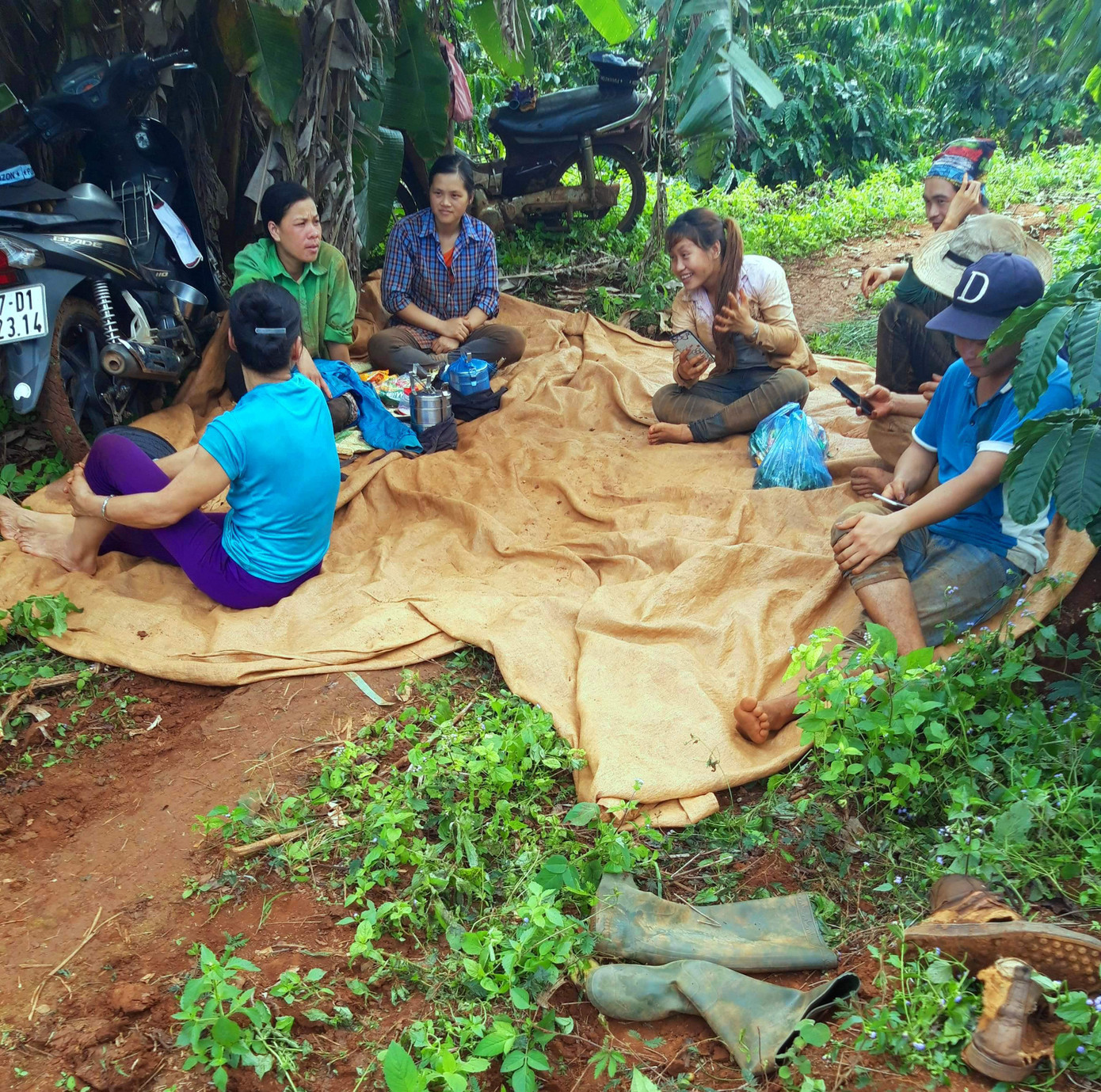 Hối hả thu hoạch từ sáng đến tối ở thủ phủ cà phê Tây Nguyên ảnh 5