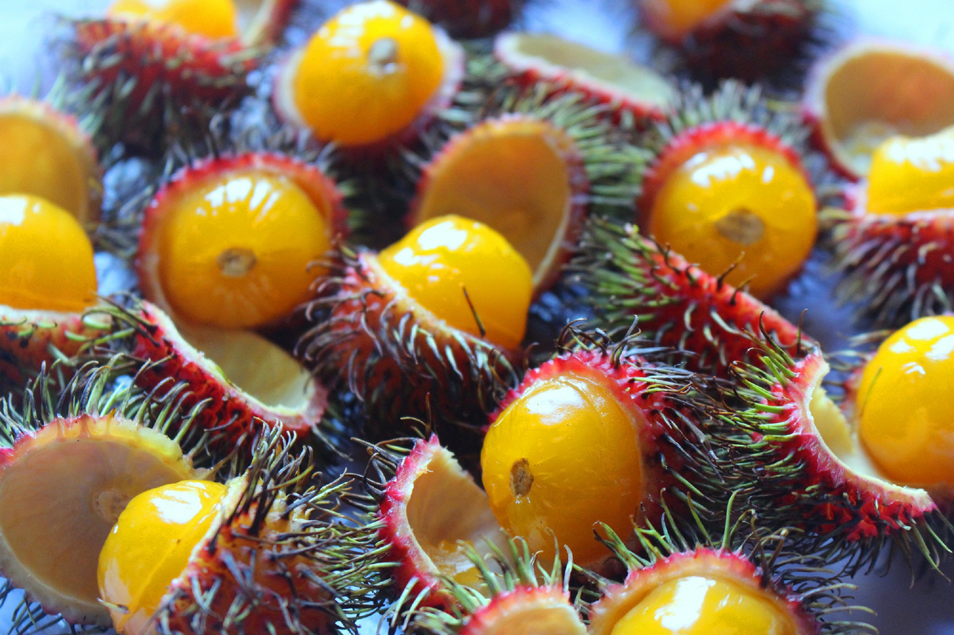 Độc lạ các loại trái cây rừng tràn xuống phố ảnh 3