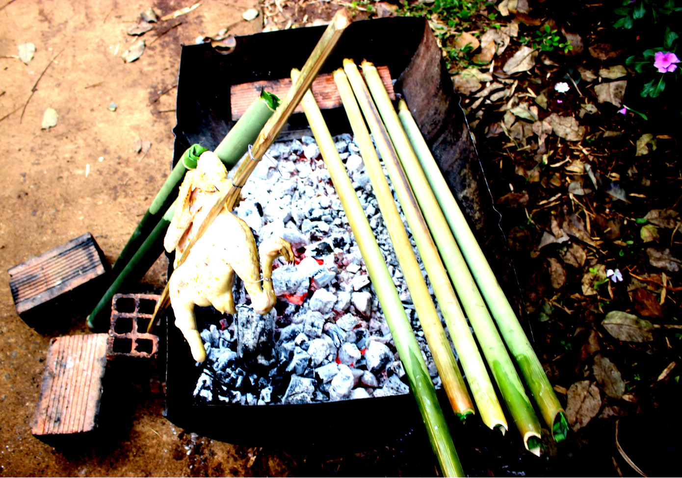 Gà nướng 'sa lửa' Tây Nguyên: Nhìn thôi đã thèm ảnh 1