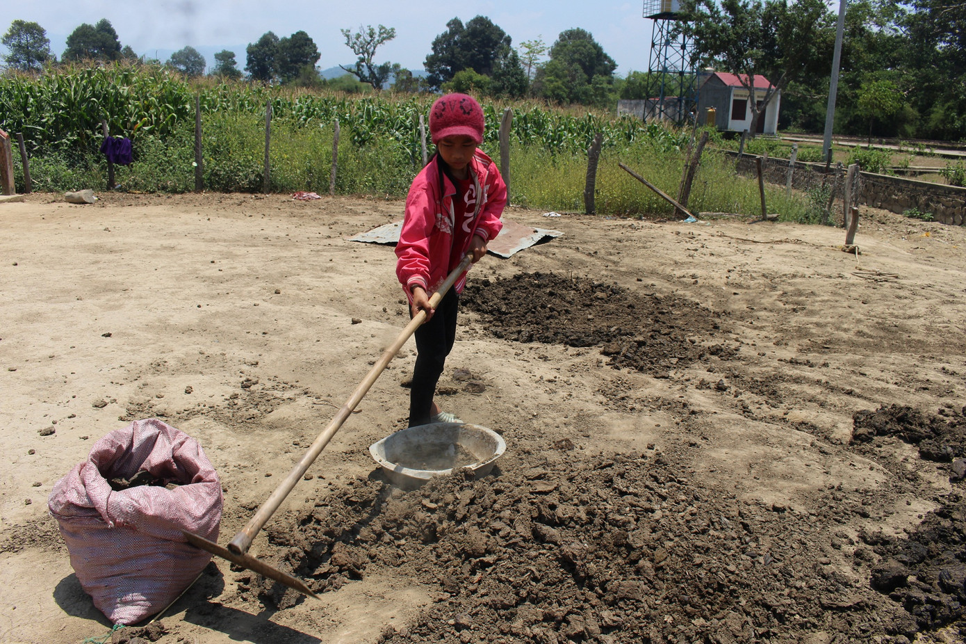 Những đứa trẻ nhặt phân bò, bắt sâu muồng thay học trực tuyến ảnh 1