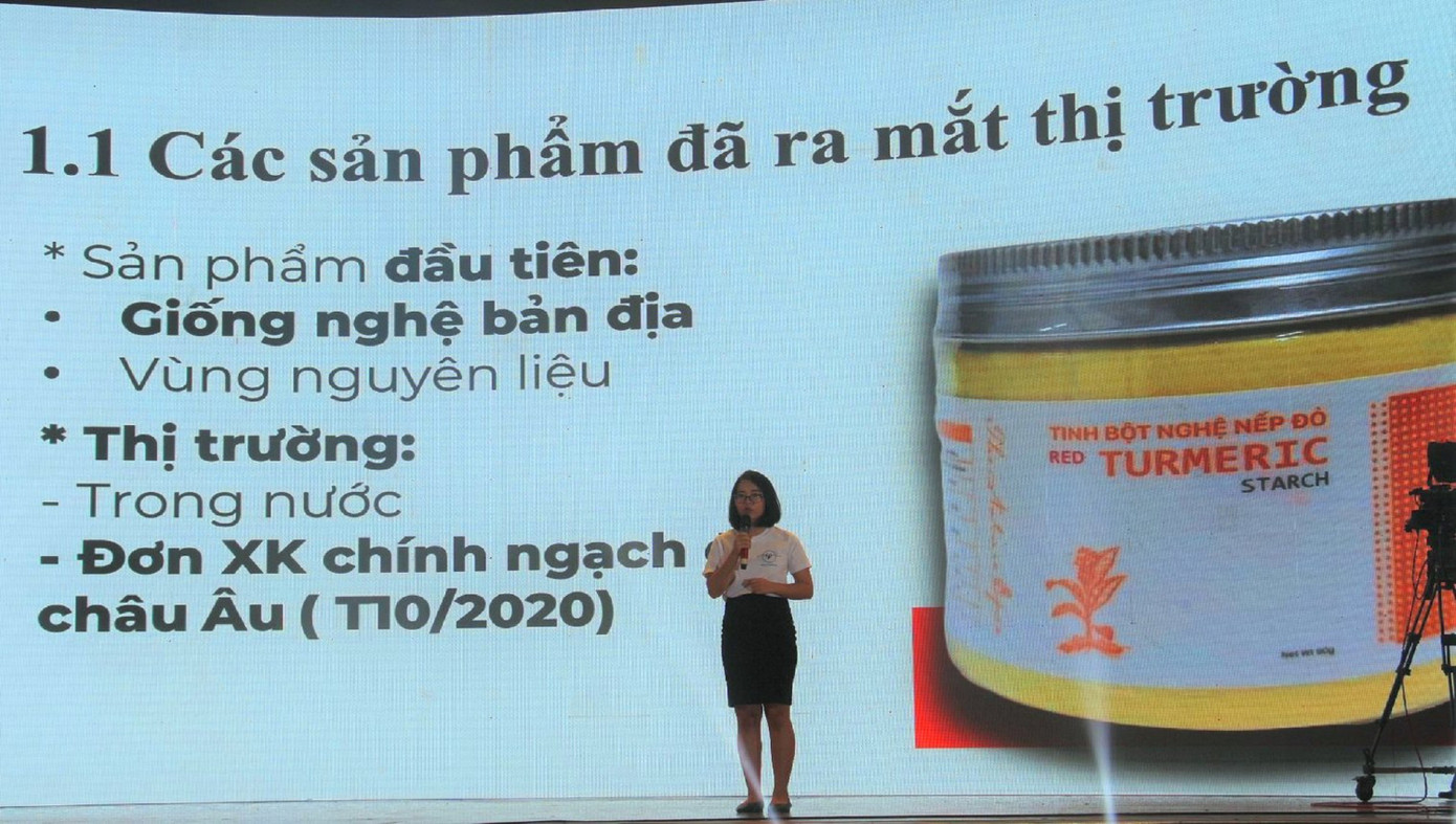 Người trẻ muốn làm ‘bạn của voi’ ảnh 1