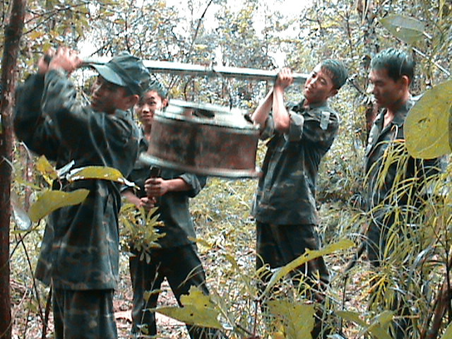 Đắk Lắk: Voi rừng liên tục 'ghé thăm', phá hoại hoa màu ảnh 2