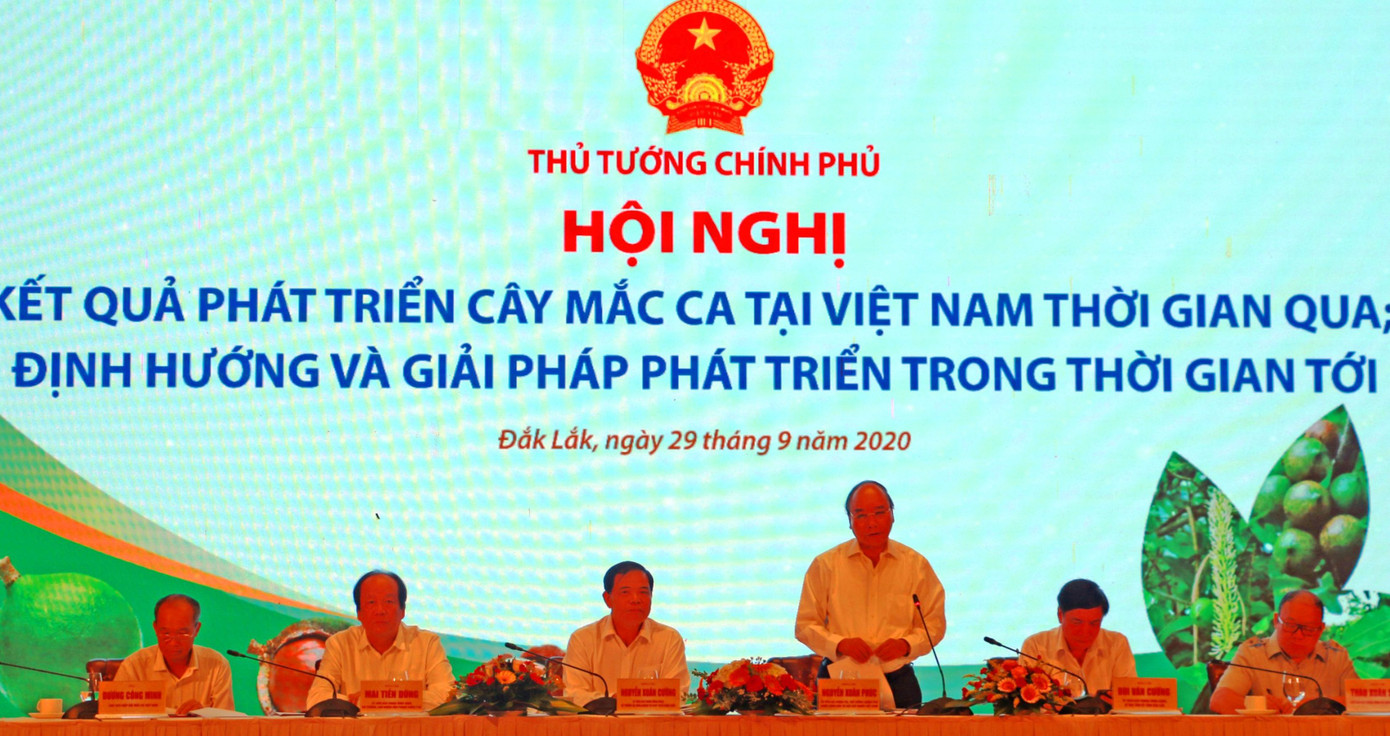 Thủ tướng: Trồng mắc ca, không để nông dân đơn độc ảnh 2