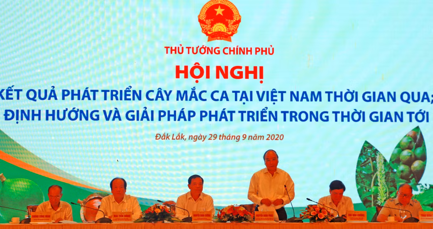 Thủ tướng: Trồng mắc ca, không để nông dân đơn độc ảnh 2