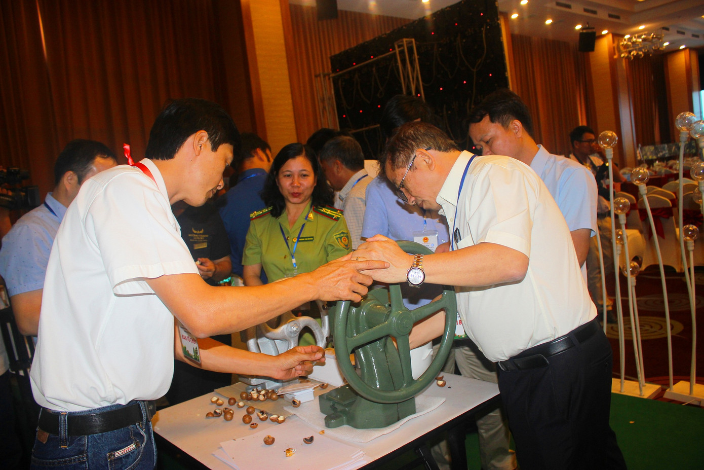 Thủ tướng: Trồng mắc ca, không để nông dân đơn độc ảnh 4