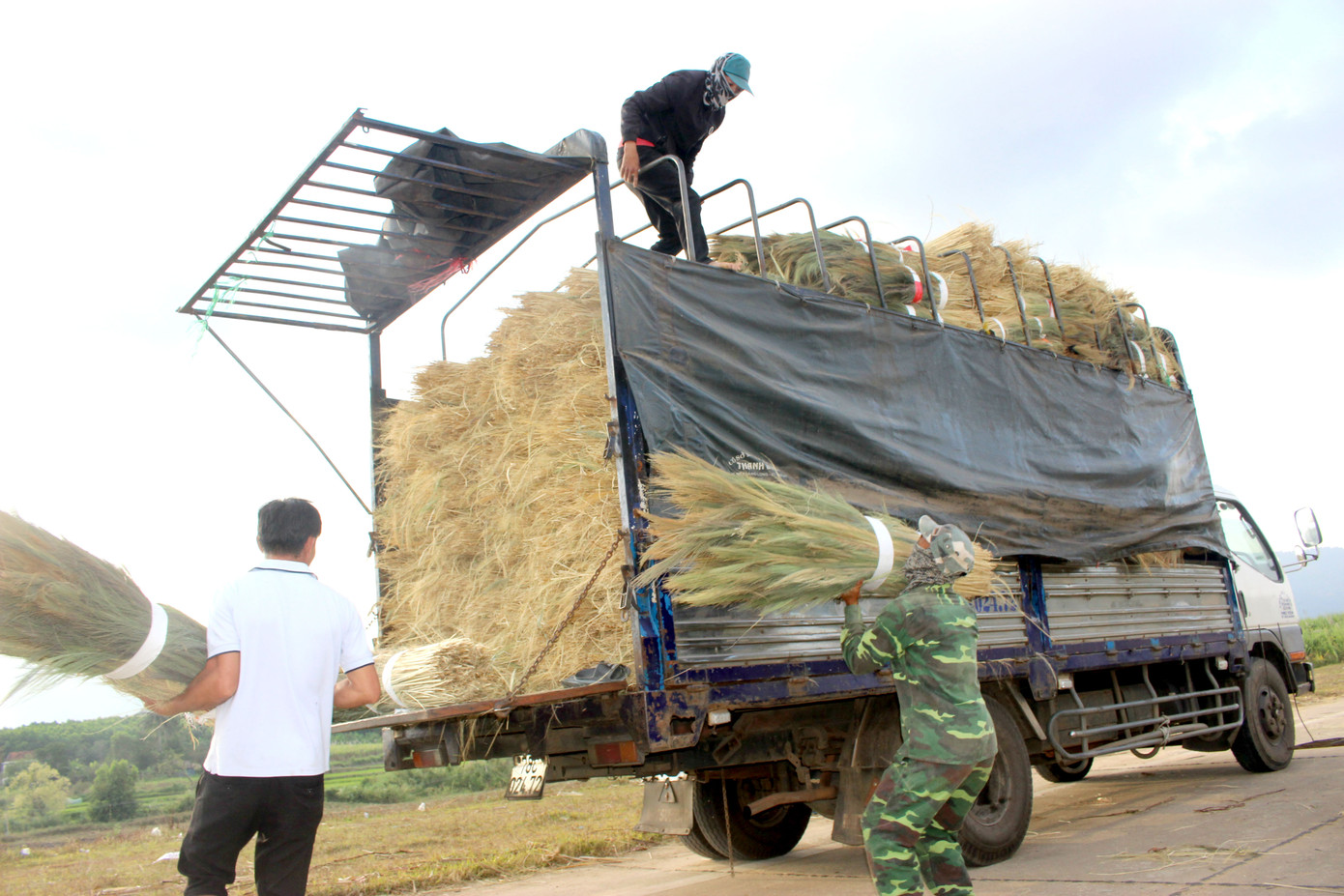 Săn 'lộc rừng' trên thảo nguyên M’đrắk ảnh 8