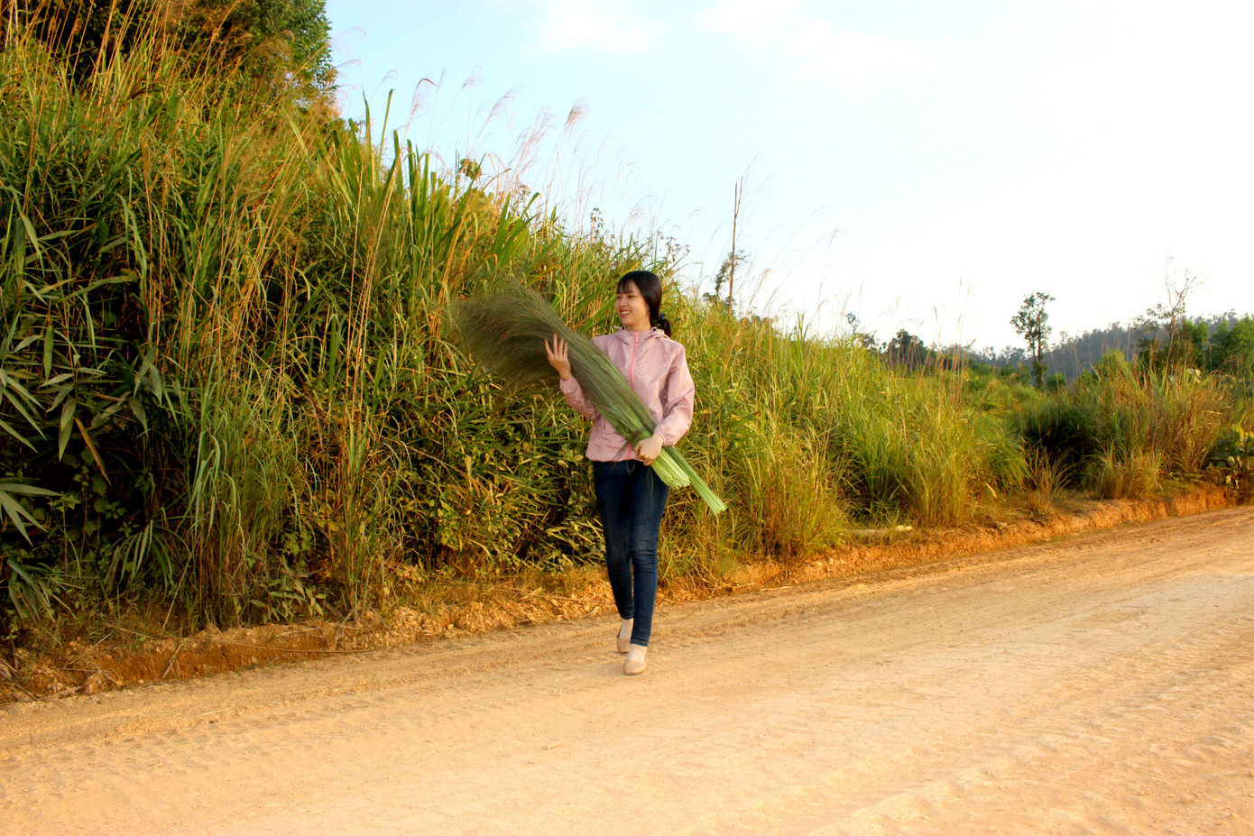 Săn 'lộc rừng' trên thảo nguyên M’đrắk ảnh 4