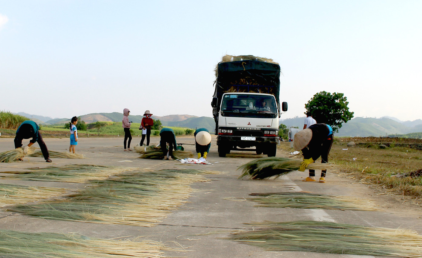 Săn 'lộc rừng' trên thảo nguyên M’đrắk ảnh 7