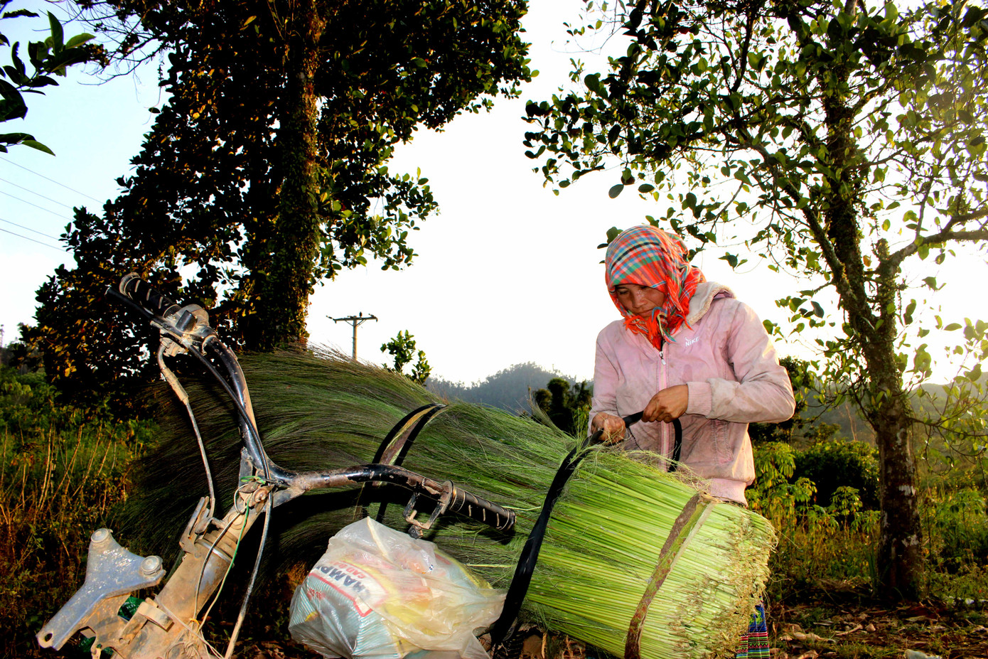 Săn 'lộc rừng' trên thảo nguyên M’đrắk ảnh 5