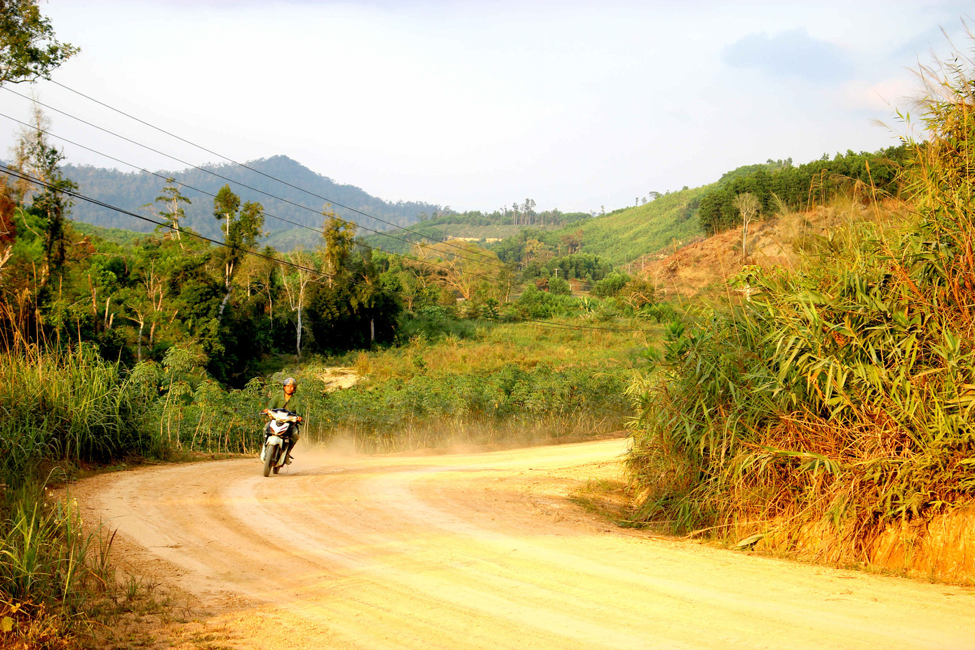 Săn 'lộc rừng' trên thảo nguyên M’đrắk ảnh 1