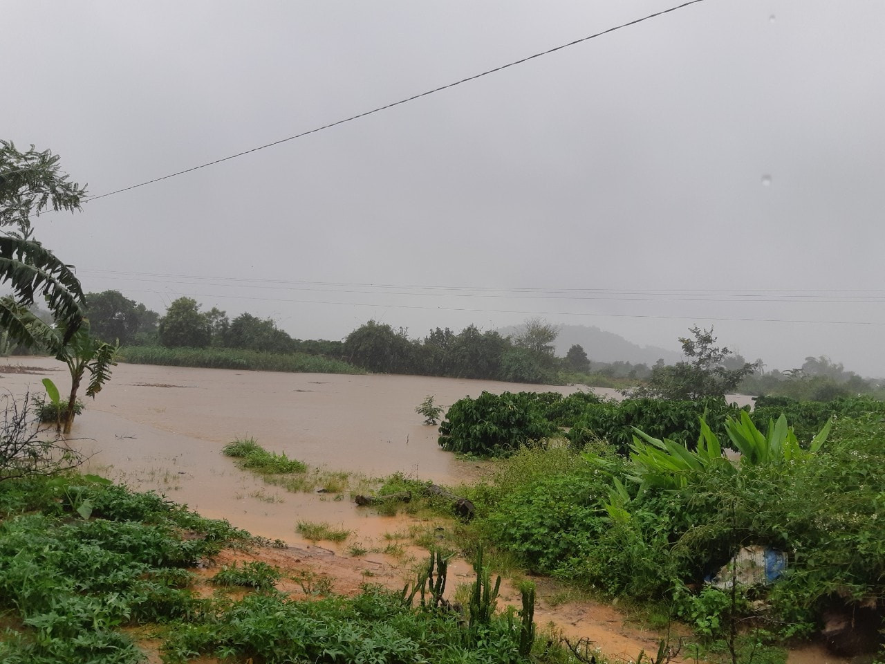 Xung kích phản ứng nhanh chốt trực các điểm mưa bão ngập ở Đắk Lắk ảnh 3