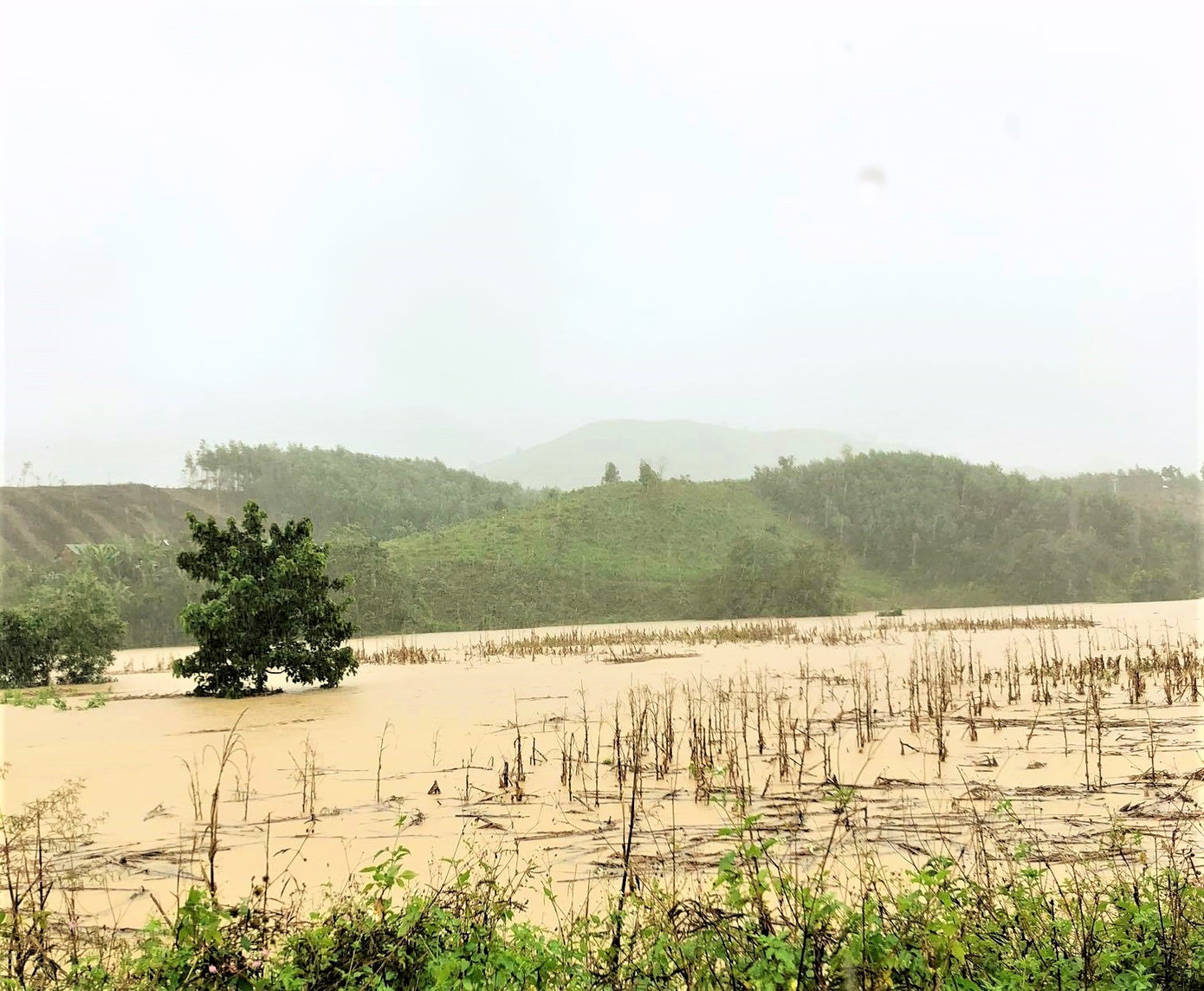 Đắk Lắk mưa to, lên phương án đưa dân khỏi vùng nguy cơ lở đất, lũ quét ảnh 2