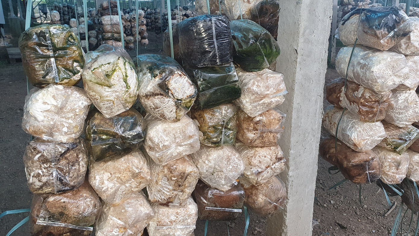 Bóc mẽ loạt dự án điện mặt trời ‘núp bóng’ nông nghiệp được hợp thức hóa ảnh 1