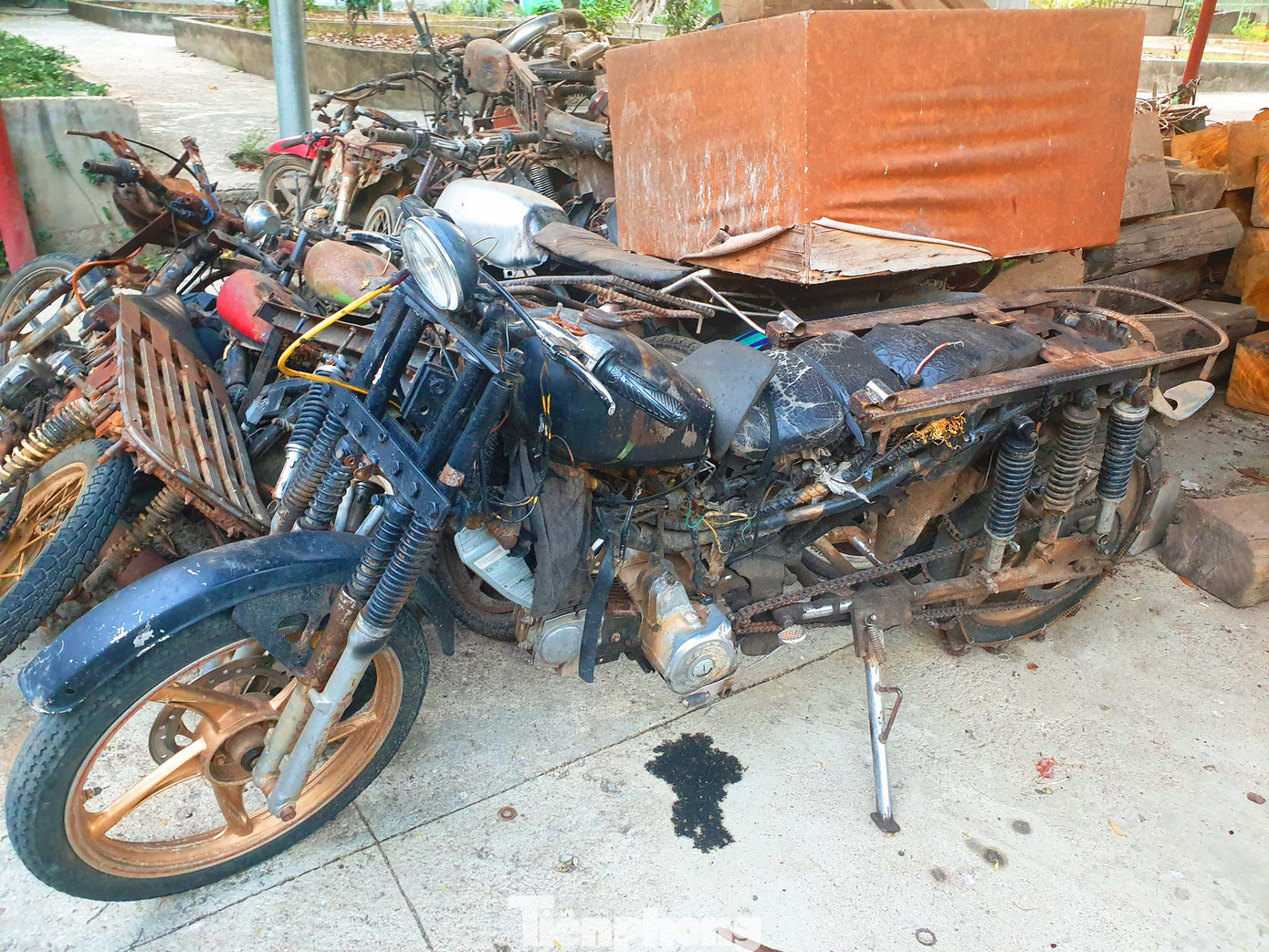 Bức tử rừng giáp ranh Gia Lai-Đắk Lắk: Điều tra, xử lý phá rừng Tây Nguyên ảnh 4