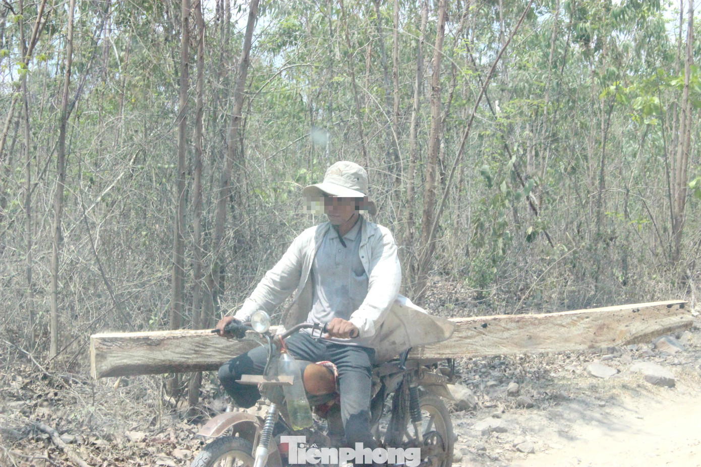 Tận thấy bức tử rừng giáp ranh Gia Lai - Đắk Lắk ảnh 2