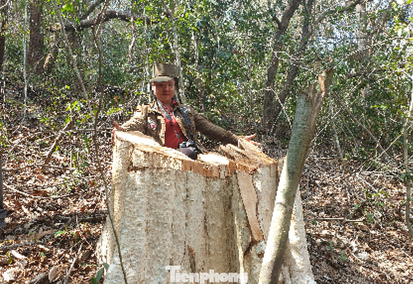 Tận thấy bức tử rừng giáp ranh Gia Lai - Đắk Lắk ảnh 5