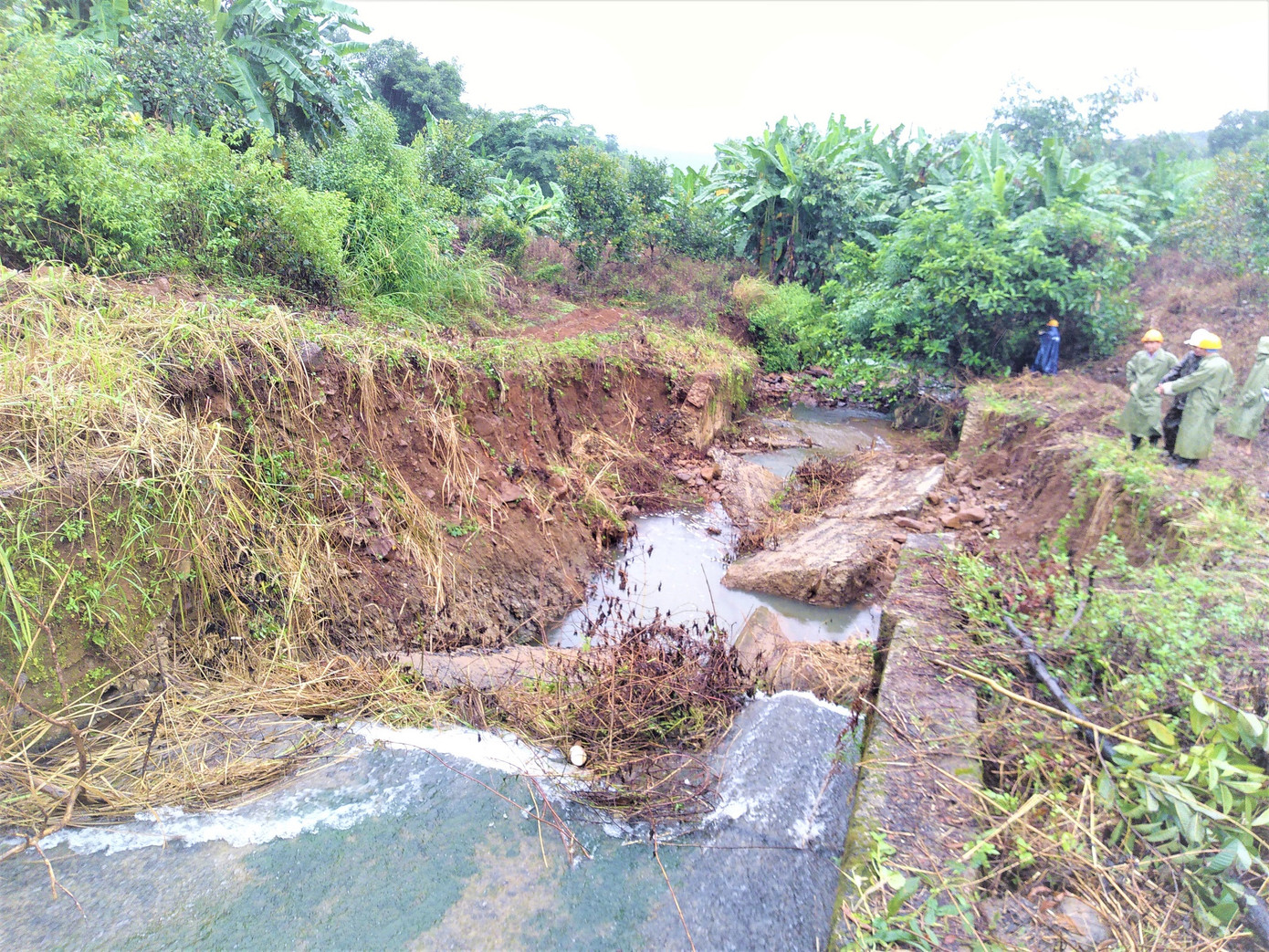 Hàng loạt công trình hư nặng sau lũ, Đắk Nông đề xuất Trung ương hỗ trợ ảnh 2