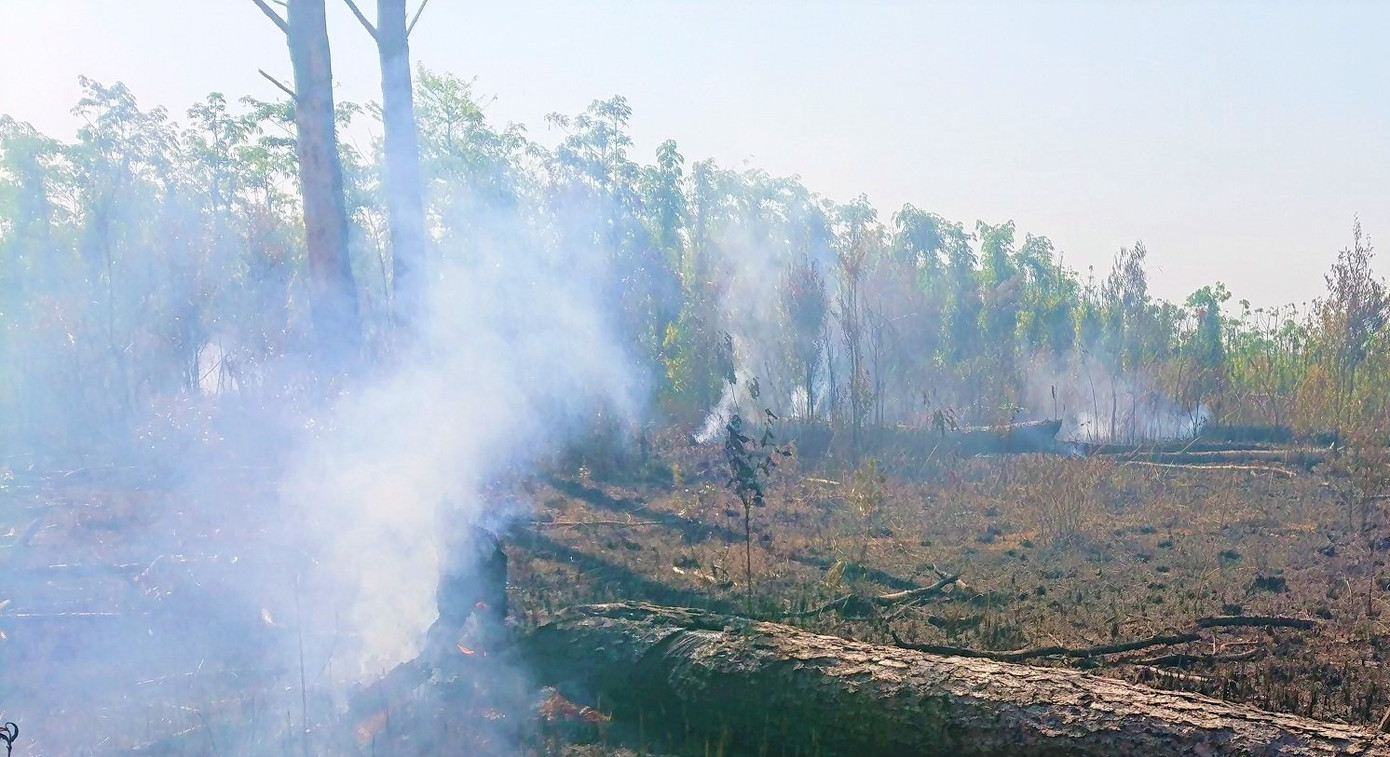 Đắk Nông nói gì về tình trạng phá rừng trên địa bàn? ảnh 1