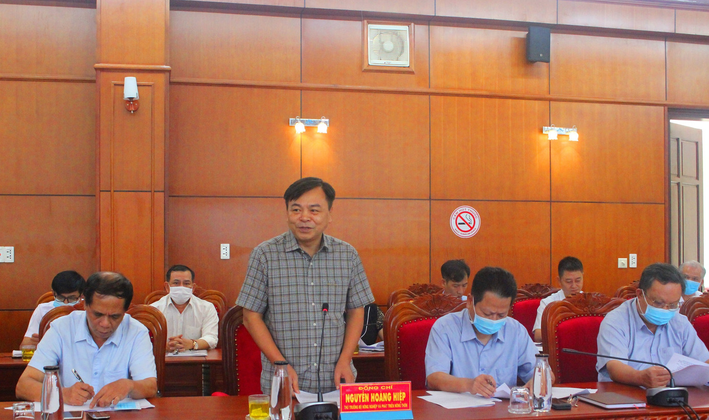 Thứ trưởng nông nghiệp 'bắt bệnh' dự án nghìn tỷ chậm tiến độ ảnh 1